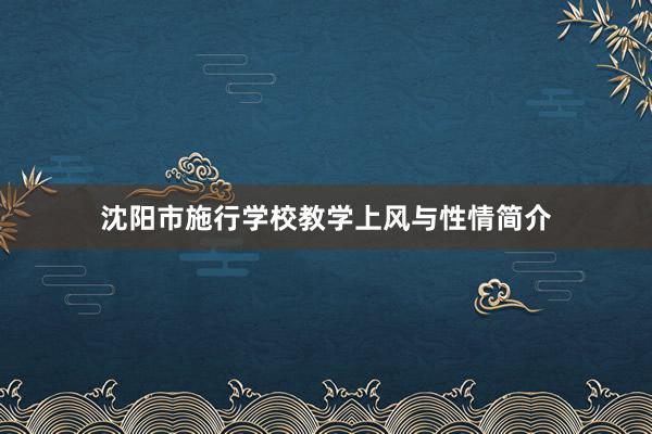 沈阳市施行学校教学上风与性情简介